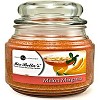 Melon Margarita 16 oz. Jar Candle