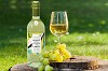 Tips to keep low-alcohol or no-alcohol wine fresh!