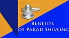Surprising Benefits of Original Parad Shivling