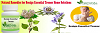Natural Remedies for Benign Essential Tremor Home Solutions