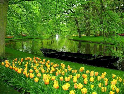 Keukenhof Gardens Lisse, Netherlands 
