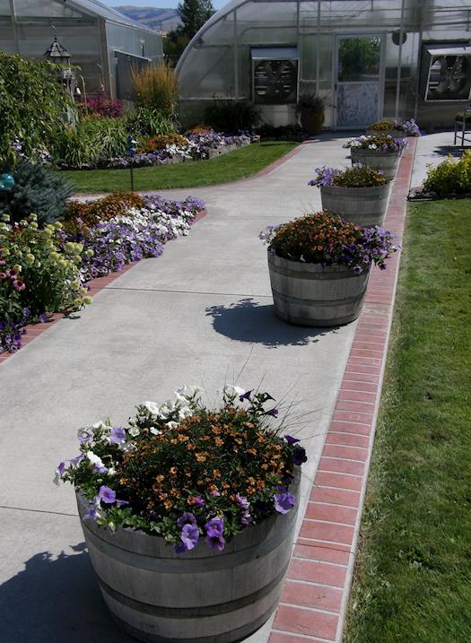 Sidewalk Planters