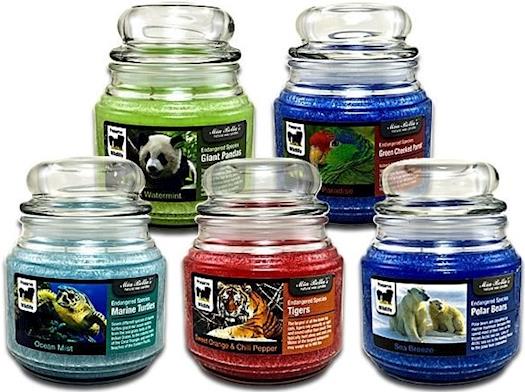 Wildlife Conservation Candles