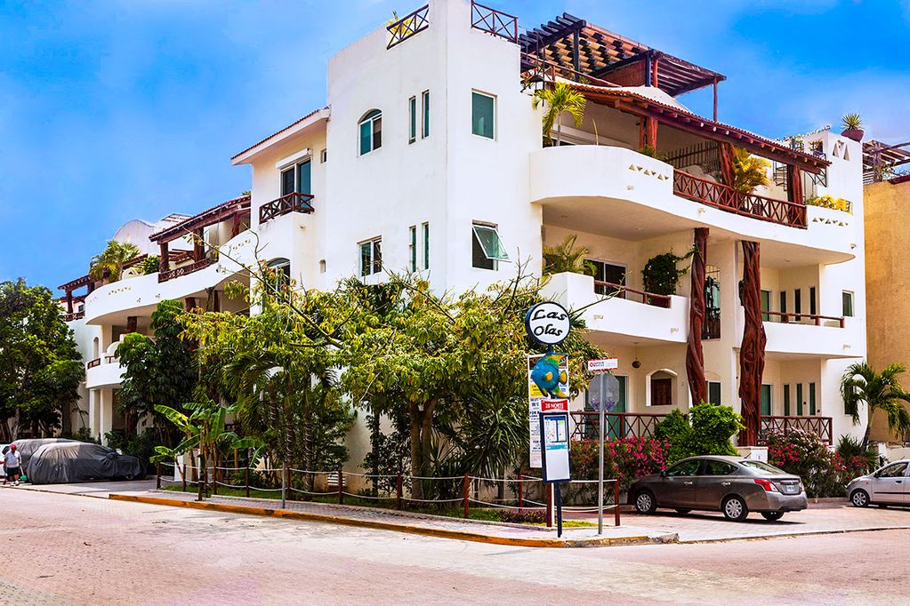 Go Whale Watching in Playa del Carmen This Vacation in Mexico