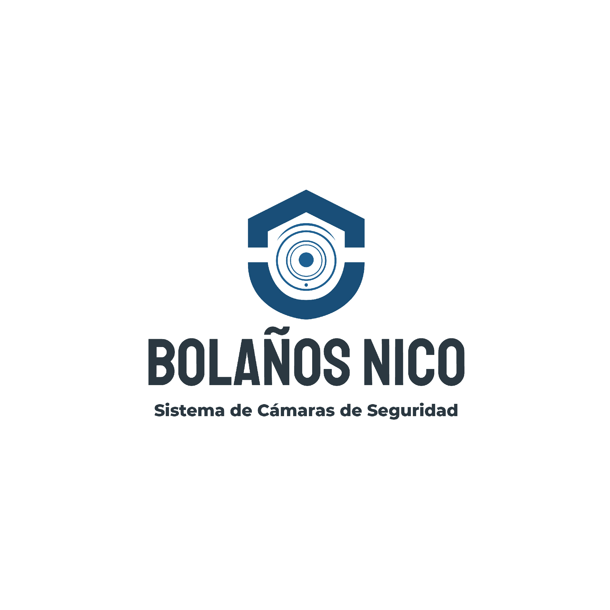 Bolanos Nico Sistema de Cámaras de Seguridad