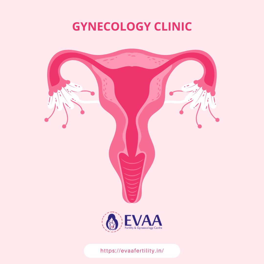 The Top Test Tube Baby Centre in Chandigarh: A Comprehensive Review of the Best Clinics and Services (Chandigarh)