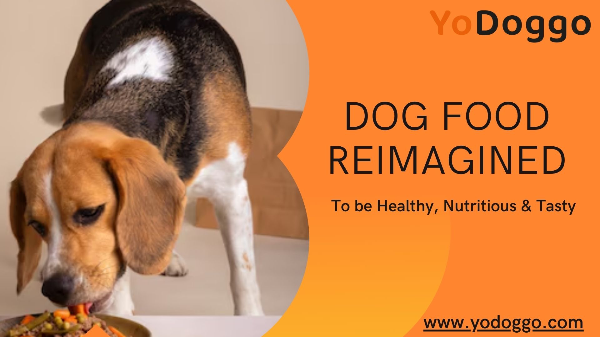 Transform your Dog's world with Yodoggo's Healthy Food
