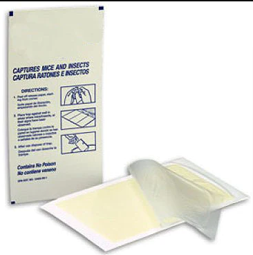 Buy Online Bedbug traps - Natural Bedbug Killer Traps on 20% Off
