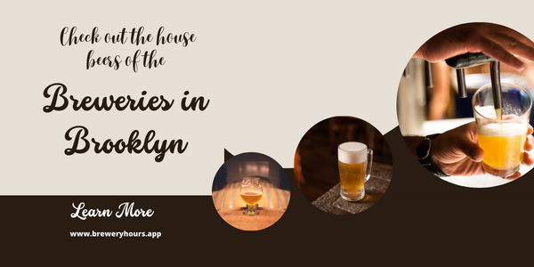 Check out the house beers of the Breweries in Brooklyn