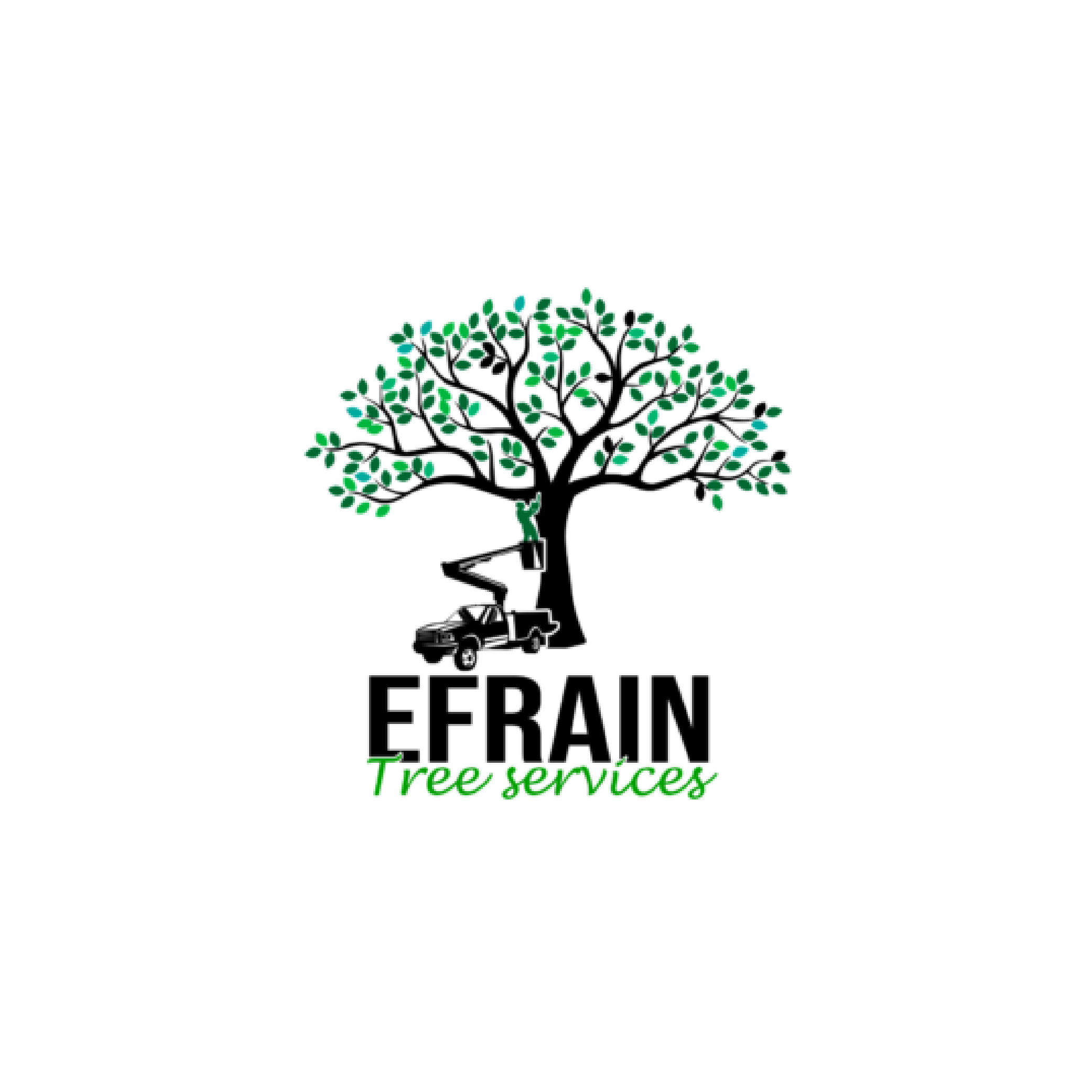 Efrain Tree Services