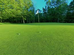 Intensify Your Golf Game- Backyard Golf Putting Greens