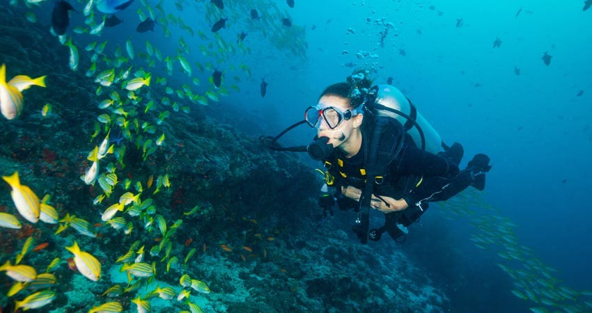 Scuba Diving At Havelock
