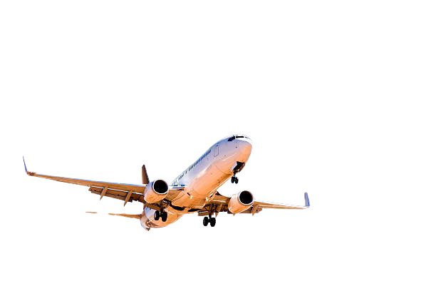 Book Allegiant flight tickets