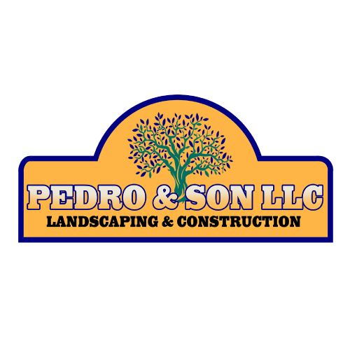 Pedro & Son, LLC