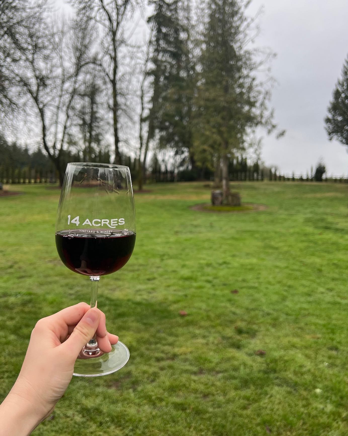 Celebrate your Private Event at the lush, serene vineyard in St. Ridgefield
