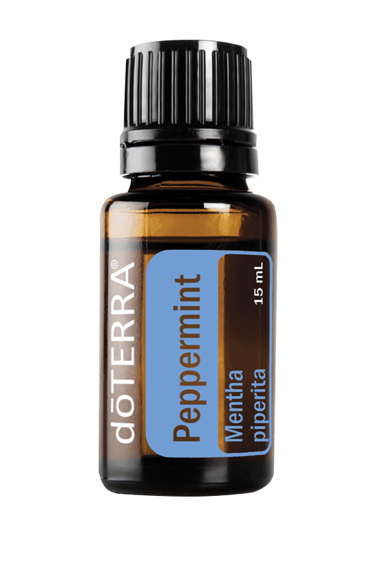Applying Essential Oils Can Be Healthful For the Body & Mind