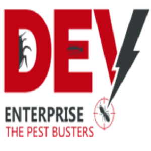 Best Pest Control in Vadodara