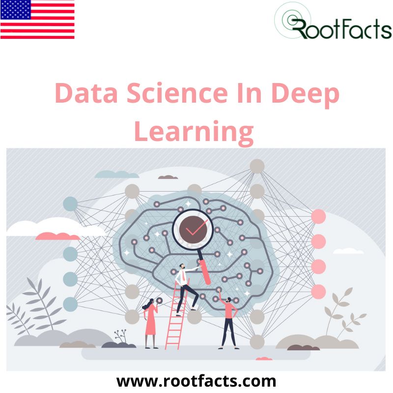 Data Science In Deep Learning - Consulting Firm | RootFacts