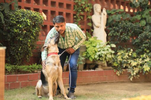Best dog trainer in Delhi - Vetco