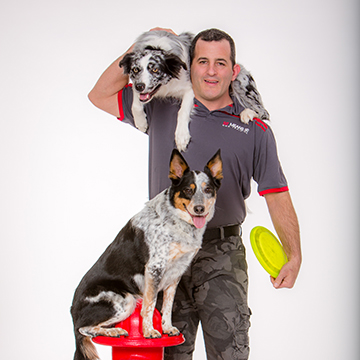 Sit Means Sit Dog Training - Westchester