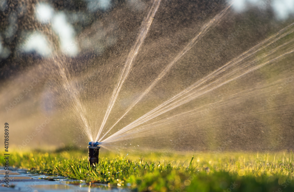 The Leading Irrigation Service in Mount Vernon, WA