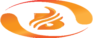 Best Web Designing Company In India