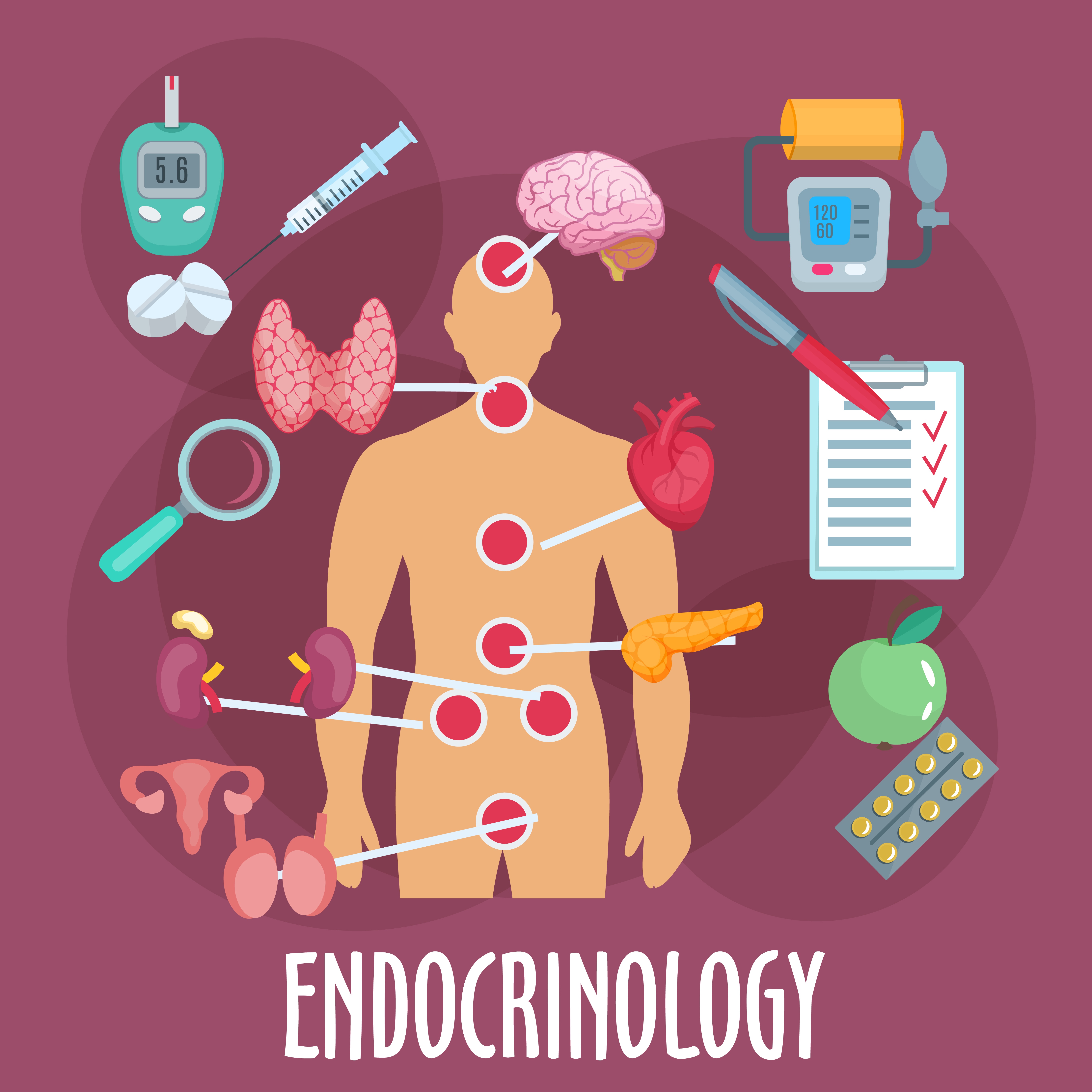 top endocrinologist in lahore