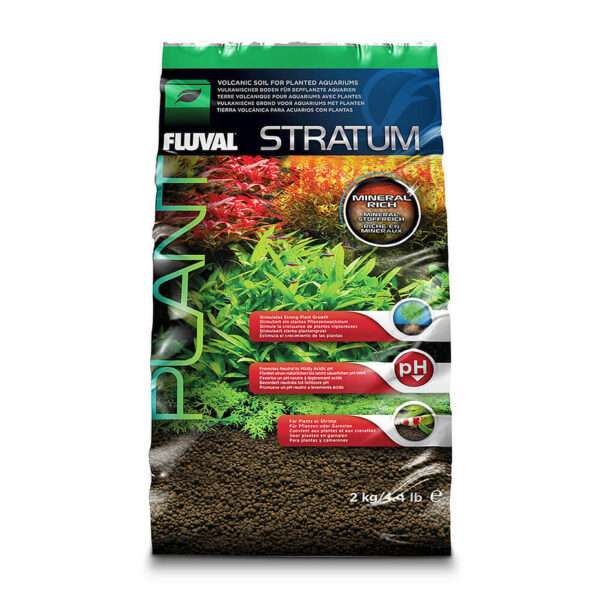 Plant and Shrimp Stratum