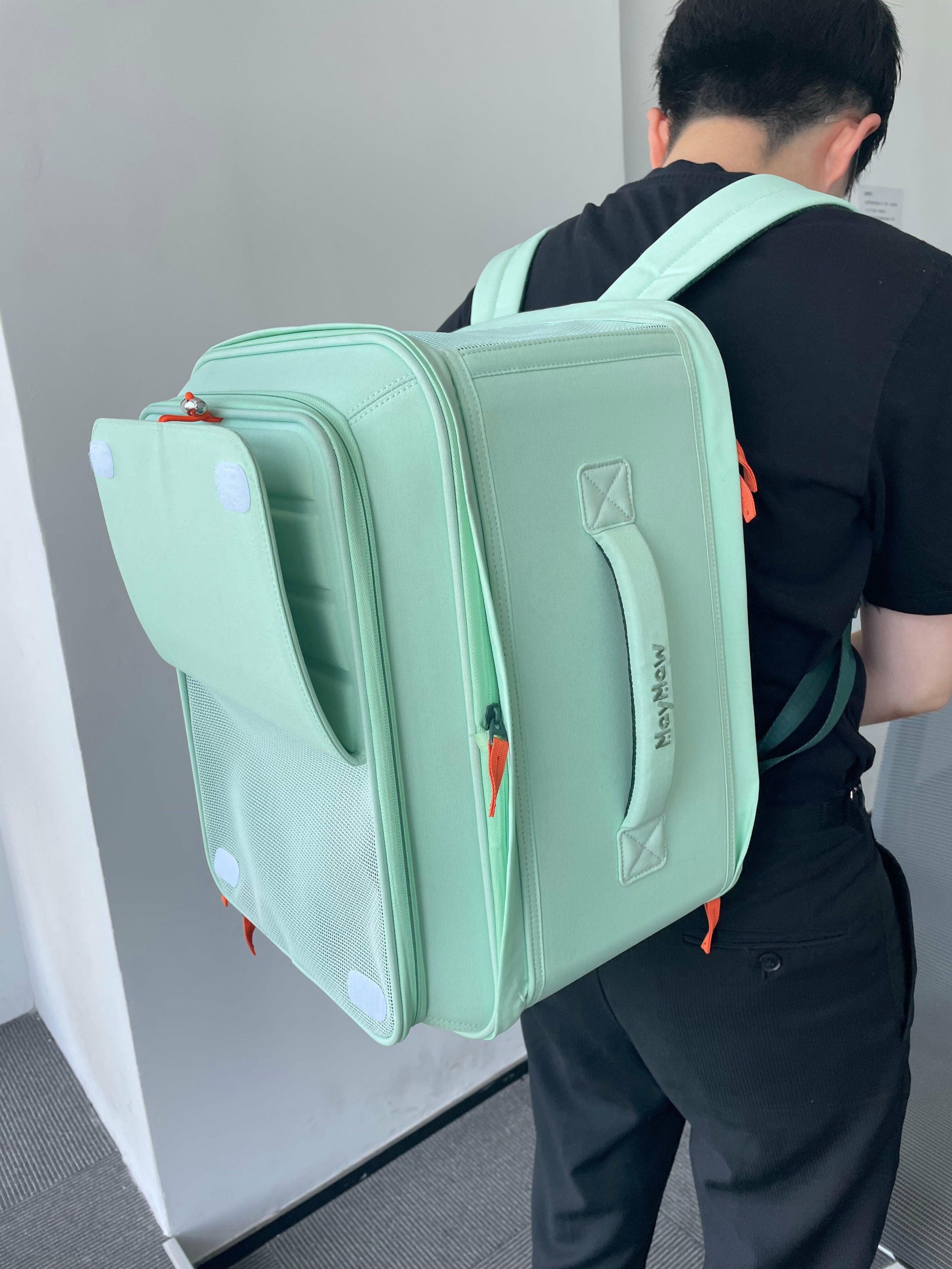 Explore in Style The Ultimate Cat Carrier Backpack in the UK