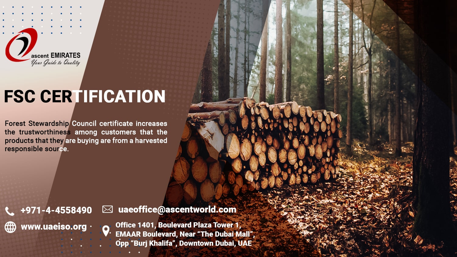 FSC Forest Stewardship Council in UAE to Promote Forest Management Practices