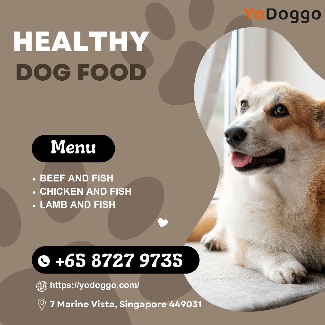Best Fresh Dog Food Brand | Company In Singapore : Yodoggo