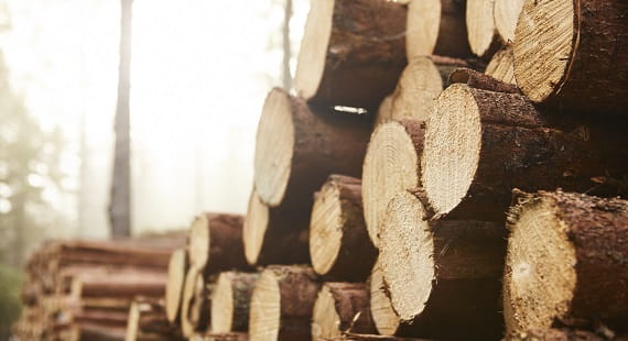 FSC in UAE – Cost Savings & Increased Market Access