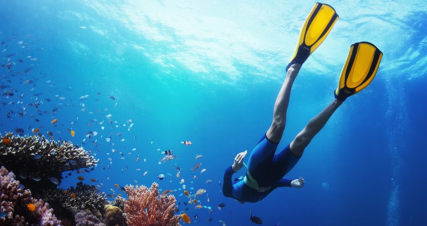 Scuba Diving Packages In Havelock Island