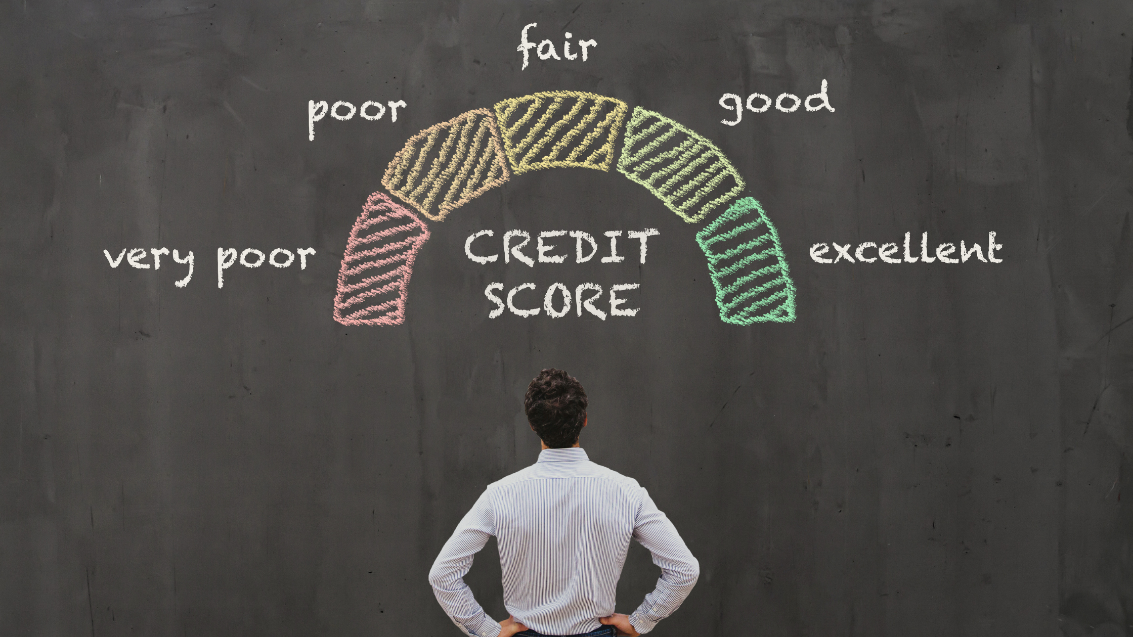 Are you struggling to find the best credit repair software development company?