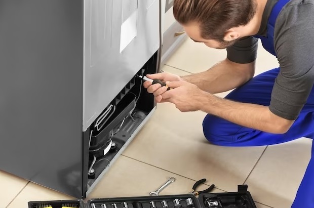 Appliance Restoration: Skilled Repair Assistance