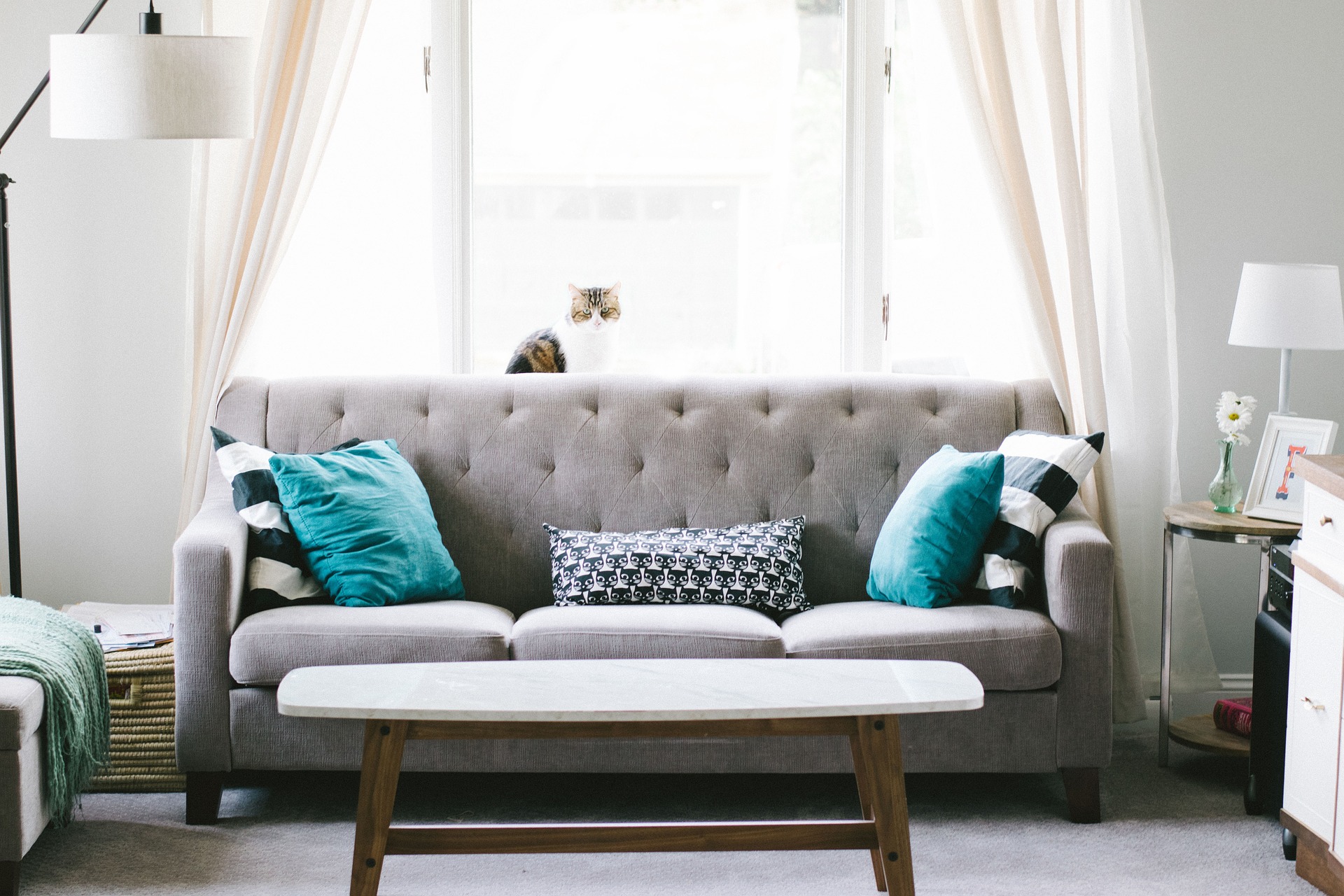 Excellent Tips to Select the Right Furniture Supplier