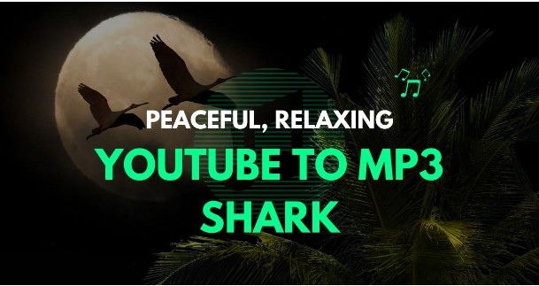 YouTube to MP3 Shark