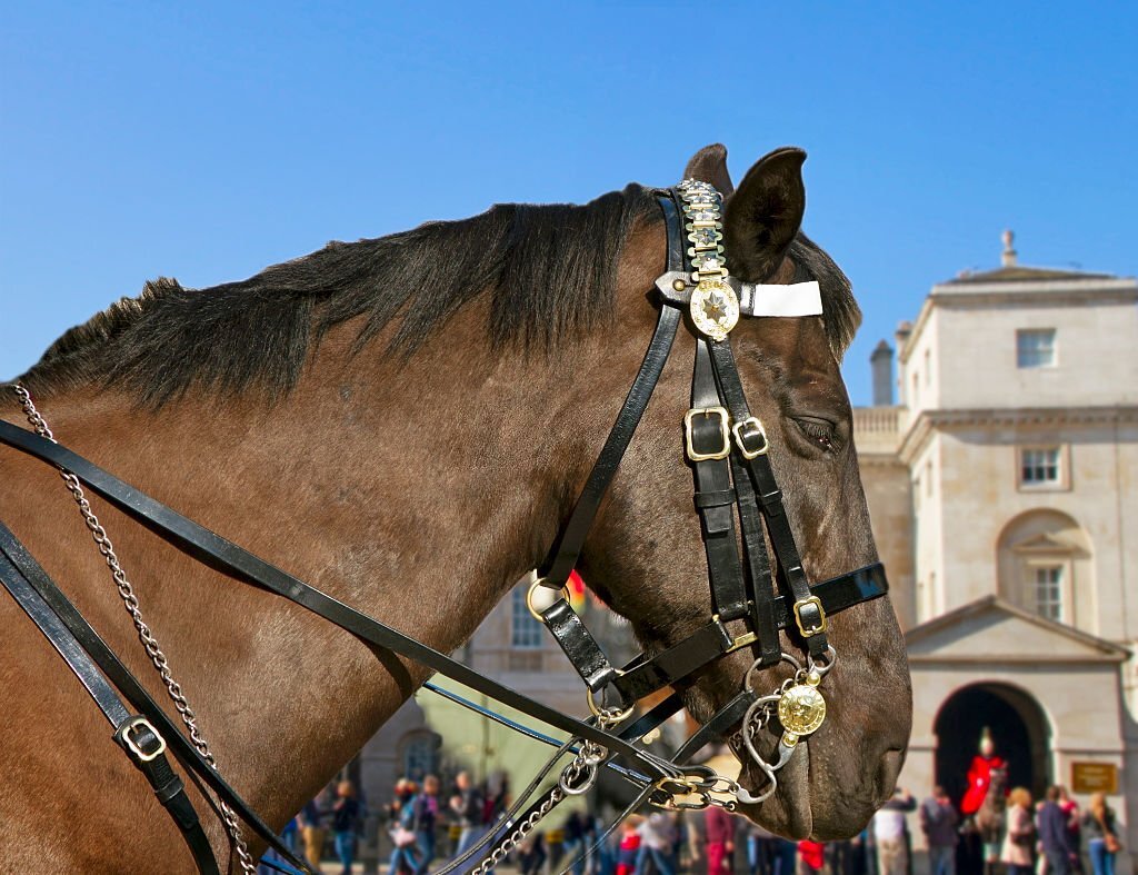 Cheltenham Festival Chauffeur service