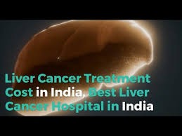 Liver Cancer Treatment in India Logo