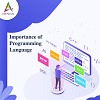 Appsinvo - Importance of Programming Languages Logo