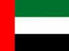 Buy Big Custom made UAE Flags on 47th National Day In UAE Logo