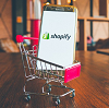 Affordable Shopify Website Design  Logo