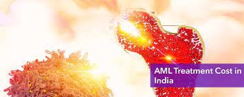 Acute Myeloid Leukemia Treatment Cost in India Logo