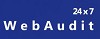 Web Audit Report | Website Usability & Conversion  Logo
