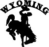 Wyoming Business Networking Group Logo