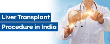 Liver Transplant in India Logo