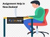 Assignment Help in New Zealand Logo