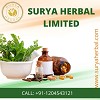 Herbal products online in Noida India Logo