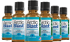 Arctic Blast Review Logo