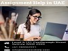 Assignment Help in UAE Logo